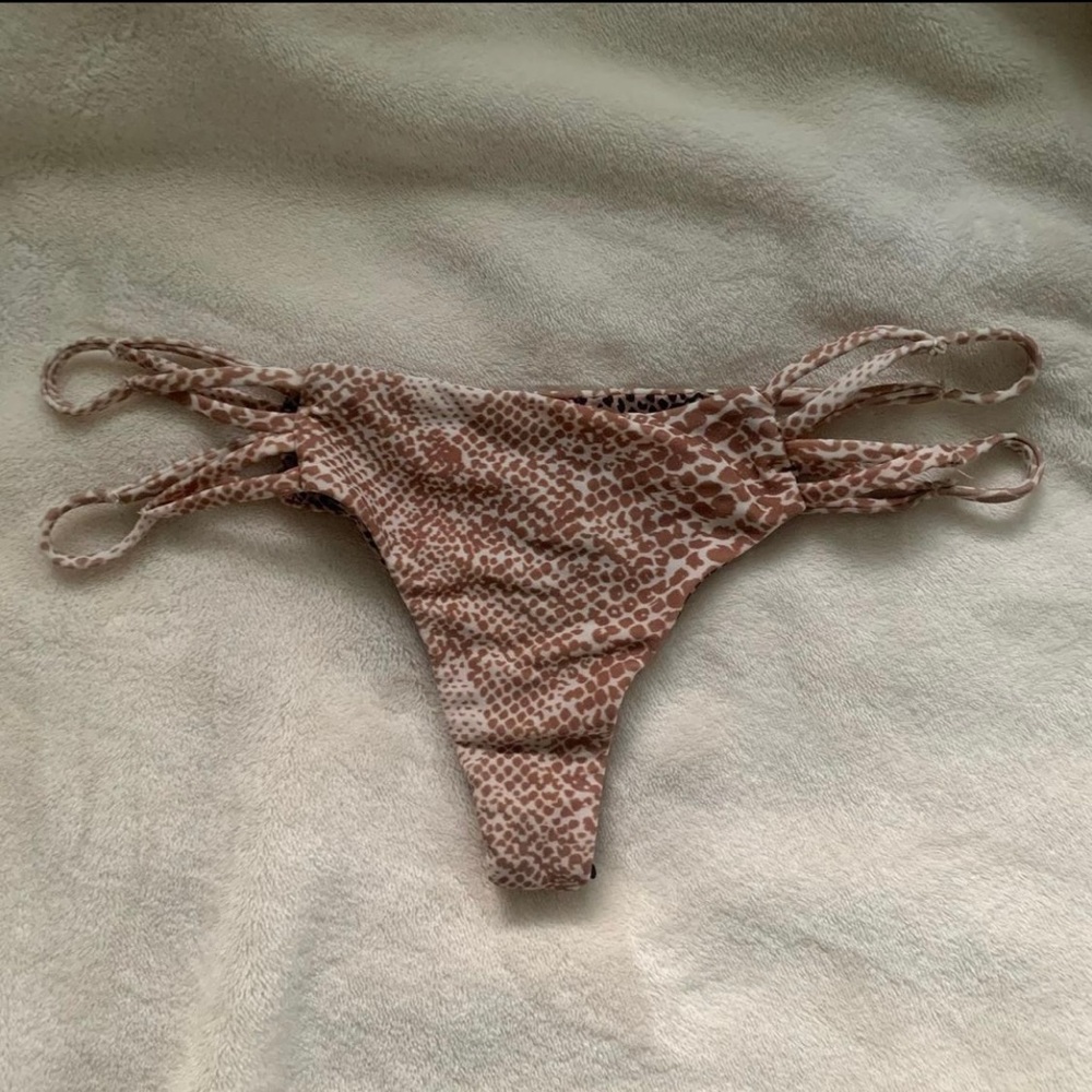 ACACIA mudsnake mauis